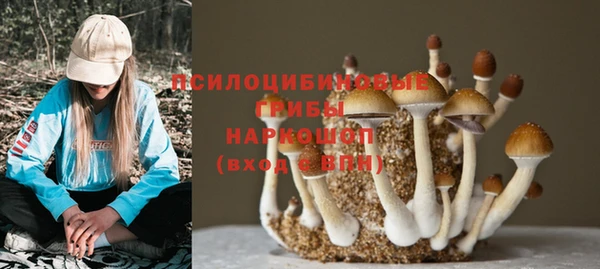 ешки Протвино