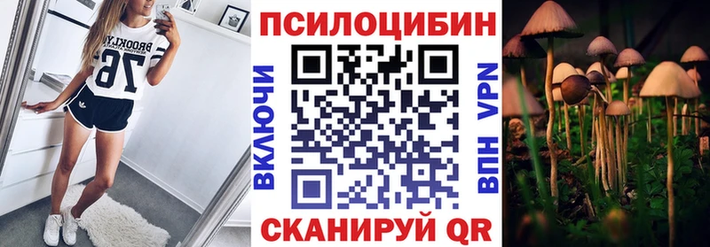 цены наркотик  Ступино  Галлюциногенные грибы GOLDEN TEACHER 